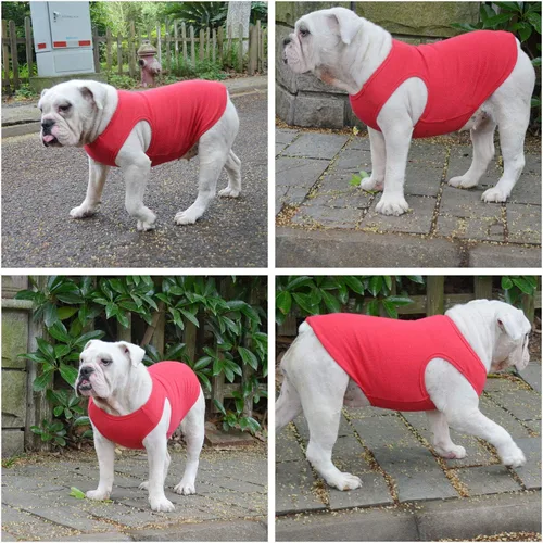 Miniatura 3 de Lovelonglong Ropa para mascotas de verano 2019, ropa para perro, camisetas en blanco, camisetas acanaladas, chalecos de hilo superior para perros