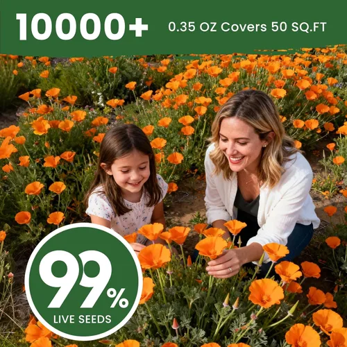 Miniatura 5 de Semillas de amapola naranja de California para plantar, paquete a granel de 0.35 onzas, más de 10,000 semillas nativas, flor del estado de California