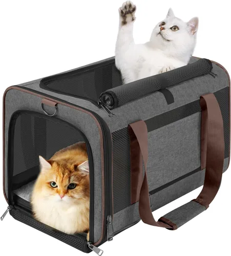 Miniatura 14 de GAPZER Transportador de mascotas para gatos grandes de 20 libras + / Transportín de lados suaves para perros pequeños de 12 libras, jaula de viaje
