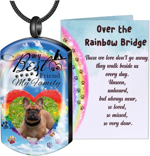 Miniatura 10 de Fanery Sue Collar personalizado para cenizas de mascotas para perros y gatos, foto y texto personalizados, regalo de condolencia, regalo de cremación