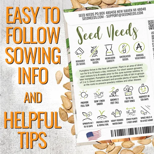 Miniatura 4 de Seed Needs Semillas de calabaza para plantar calabazas de cuento de hadas, reliquia sin OMG y semillas de vegetales Cucurbita sin tratar para Cuento