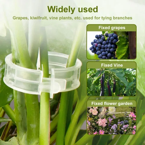 Miniatura 2 de 300 clips de plástico seguro para plantas, clips de fijación de plantas, clips de tomate de plástico para plantas trepadoras, clips de jardín, clips