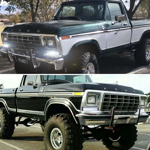 Miniatura 6 de Para camiones Ford F-150 1973-1979, carcasa de luces direccionales Ford Bronco 1978-1979