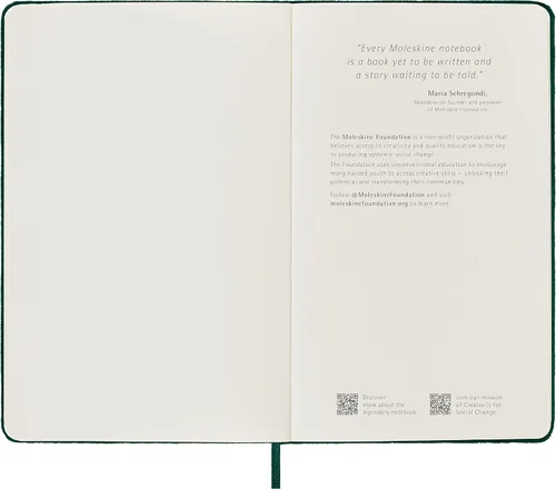 Miniatura 9 de Moleskine Cuaderno de terciopelo de edición limitada, grande, a rayas, caja verde (5 x 8.25)
