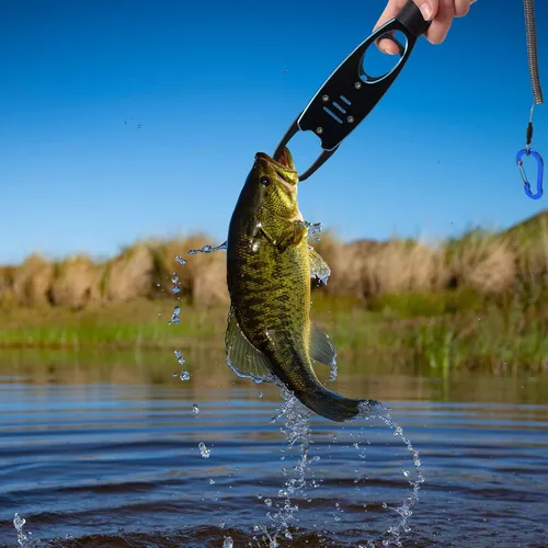 Miniatura 6 de PATIKIL Clip de labios de pescado con escala, 40 libras (39.7 lbs) de aleación de aluminio, clip de labios de pesca profesional, herramienta de Azul