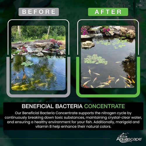 Miniatura 5 de Aquascape - Bacterias secas y beneficiosas para las características del estanque y del agua., Blanco