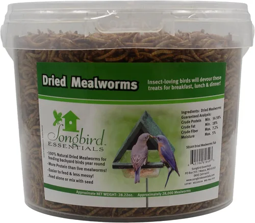 Miniatura 10 de Songbird Essentials Gusanos de harina secos para aves silvestres, gusanos de harina 100% naturales para pollos, pájaros azules, reptiles y patos