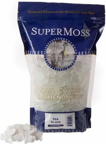 SuperMoss (24192) Relleno de jarrón de vidrio marino, 4 libras, blanco esmerilado