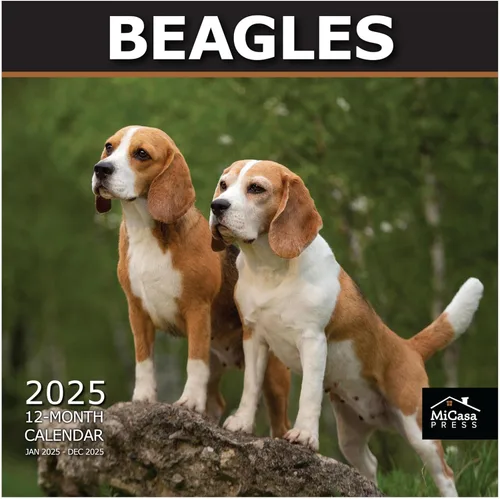 Miniatura 41 de MICASA PRESS Beagles - Calendario de pared 2026 de 12 meses 12 x 24 pulgadas abierto Papel grueso y resistente Regalo Lindo calendario