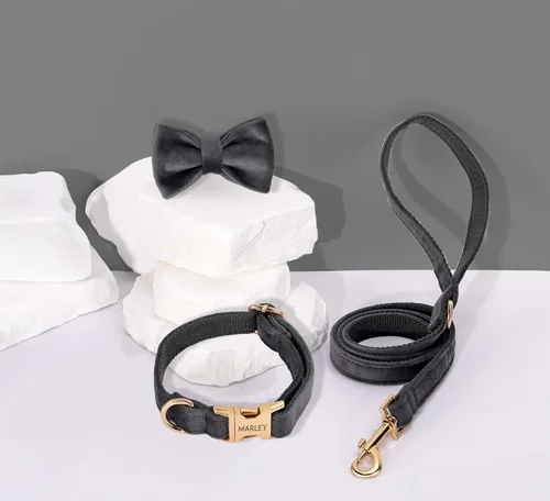 Miniatura 4 de Juego de arnés de terciopelo, regalo para dueños de mascotas, collar personalizado con nombre y número de teléfono, collar y correa personalizados