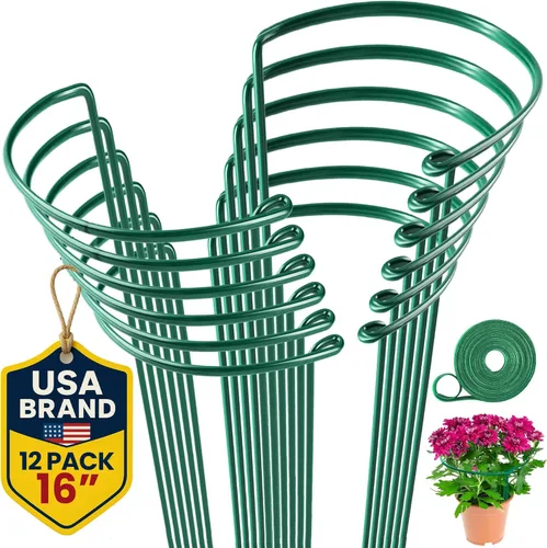 K-Brands Paquete de 12 estacas de soporte para plantas, anillo de soporte de peonía medio redondo resistente y jaula para plantas de interior y