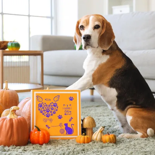Miniatura 5 de INFUNLY Sellos Transparentes de Mascotas para Hacer Tarjetas, Sellos de Silicona Transparente Perro + Gato, Sellos de Goma para DIY, Álbum