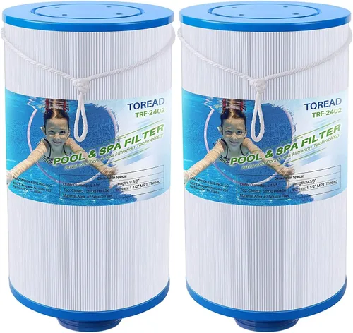 TOREAD Filtro de spa que reemplaza a Watkins 303279, FC-2402, PFF42TC-P4, 78460, Lifesmart, Freeflow, AquaTerra - Filtros para bañera de