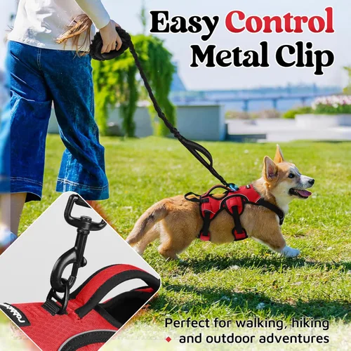 Miniatura 5 de rabbitgoo - Arnés para perro a prueba de fugas, arnés para mascotas acolchado suave de cuerpo completo, chaleco reflectante ajustable sin tirones