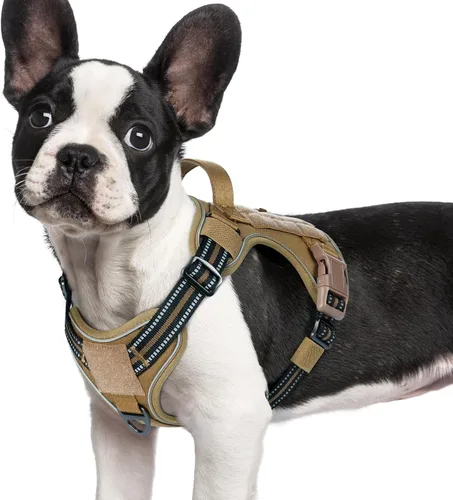 Miniatura 14 de rabbitgoo - Arnés para perros pequeño sin tirones, chaleco táctico de servicio con Molle y asa de control, arnés militar ajustable y reflectante