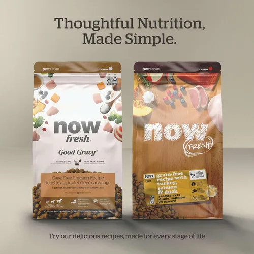 Miniatura 6 de Now Fresh Alimento seco para perros sin granos, carne y pescado reales, pavo, salmón y pato receta para personas mayores, tamaño de todas las razas