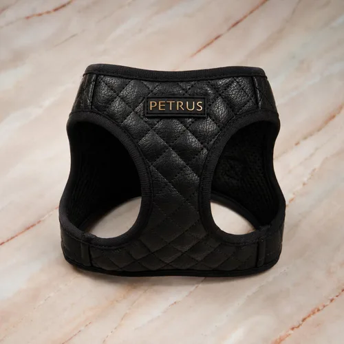 Miniatura 3 de Arnés para perro y gato, ligero de malla transpirable, suave acolchado para mascotas, chaleco de cuero vegano, sin estrangulamiento, a prueba