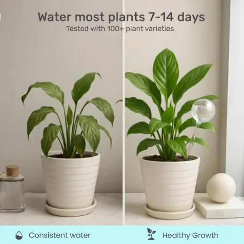 Miniatura 3 de Little Green Leaf Bombas de Riego Automáticas para Plantas, Insertos de Maceta de Riego Automático (Set de 10) Bombas de Plástico Transparente 6