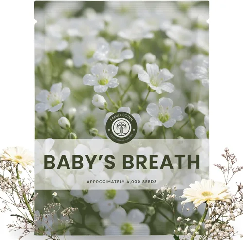 Baby's Breath - 4,000 semillas para plantar - Temporada 2026 - Bolsa de 0.18 oz