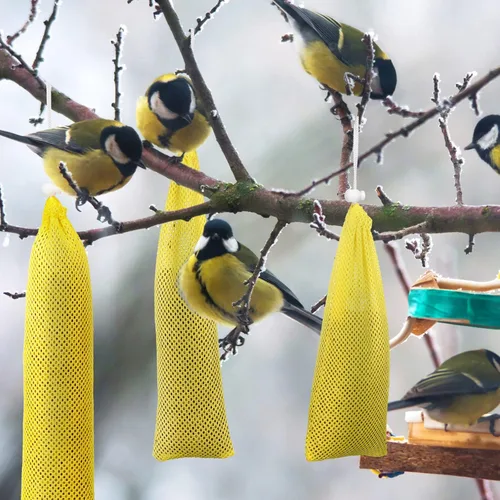 Miniatura 7 de Shappy 6 unidades de comederos de pinzones para colgar en exteriores, calcetines de cardo y pájaro para pájaros y semillas de cardo