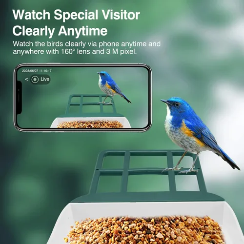 Miniatura 5 de Alimentador inteligente para pájaros con cámara, identificación de especies por IA, casa para pájaros con energía solar, alertas de llegada