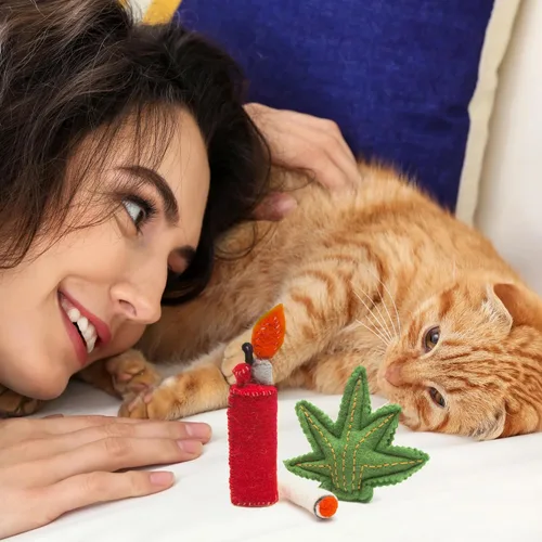 Miniatura 4 de Glaciart One Juego de juguetes para gatos con hierba gatera, hojas y encendedor Grieta de gato para gatitos divertidos, juguetes estimulantes