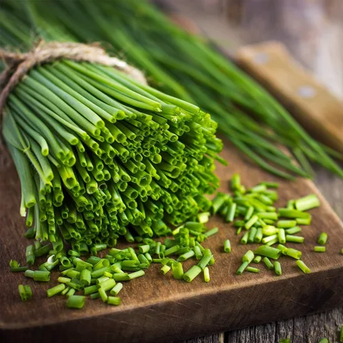 Semillas Cebollino Cebolleta - Vegetales tradicionales - Sin OMG