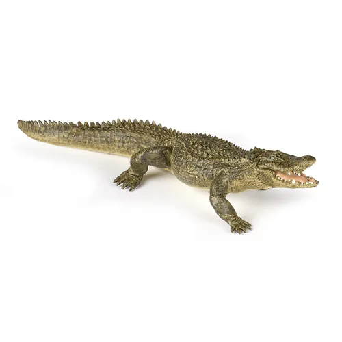 Papo - Figura realista de cocodrilo - A partir de 3 años - Colección Wild Life - Reptiles educativos de pantano - Juguete de idea de regalo para