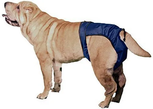 Miniatura 7 de Integrated Pet Solutions SnuggEase - Pañal lavable para perros (paquete de 2), grande