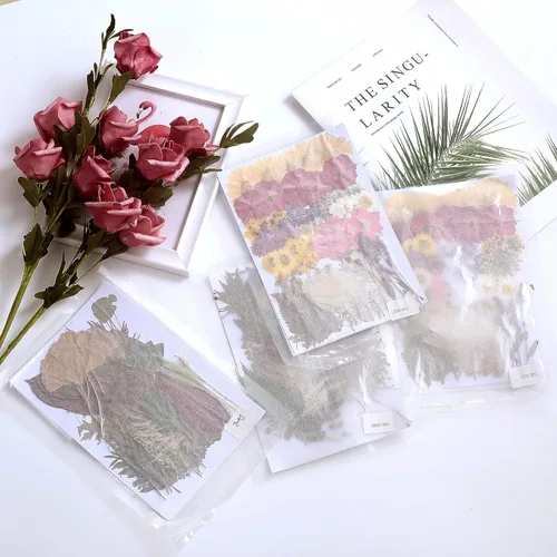 Miniatura 7 de 100 piezas de hojas verdes prensadas secas reales, herbario de plantas naturales para bricolaje, moldes de resina, fabricación de joyas y Verde-100