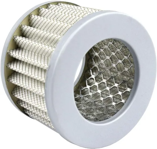 Miniatura 2 de Papel de admisión de compresor de aire A843 Filter Element Champion VP1048571 55SCFM