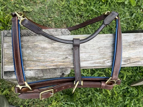 Miniatura 8 de Leaders - Cabestro de cuero de 3/4 pulgadas para caballos con placa de identificación grabada personalizada, halter de cuero con placa de nombre
