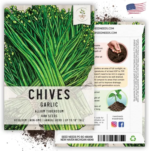 Miniatura 6 de Seed Needs Semillas de cebollino para plantar cebolletas de ajo, herencia sin OMG y hierbas perennes sin tratar para cultivar un jardín de hierbas