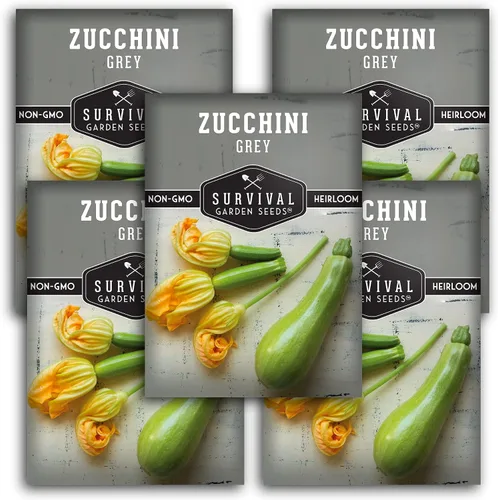 Miniatura 12 de Survival Garden Seeds - Semilla de calabacín gris para plantar - 3 paquetes con instrucciones para plantar y cultivar calabaza mexicana de verano