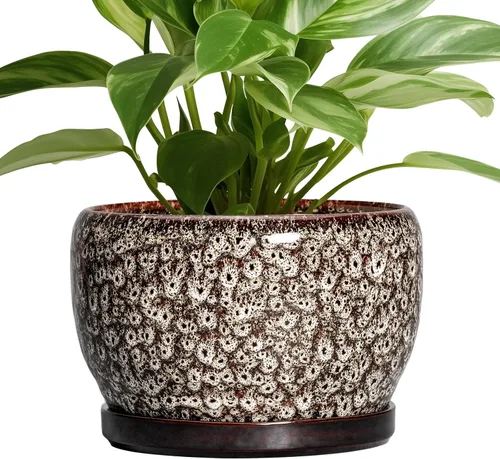 Miniatura 39 de SQOWL Macetas de cerámica – Maceta de 6 pulgadas con orificio de drenaje y bandeja, maceta redonda para plantas de interior, maceta decorativa