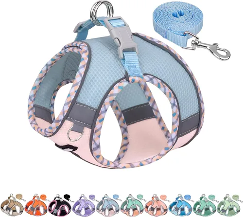 Miniatura 12 de AIITLE Arnés y Correa para Perro XXS - Arnés Pequeño para Perro Reflectante y sin Tirones, Transpirable para Cachorros Taza, Uso en Negro