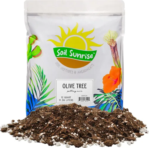 Soil Sunrise Mezcla de tierra para macetas de olivo (12 cuartos de galón) para plantar, trasplantar y cultivar arbustos/plantas de olivo