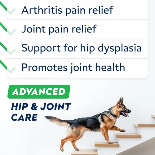 Miniatura 2 de STRELLALAB Suplemento avanzado de glucosamina para cadera y articulaciones para perros mayores, mejillón y colágeno de labios verdes, alivio