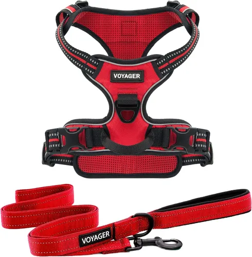 Miniatura 16 de Voyager - Arnés con doble correa para perro, con control sin tirones, ajustable, suave pero fuerte para mascotas, para perros medianos y grandes