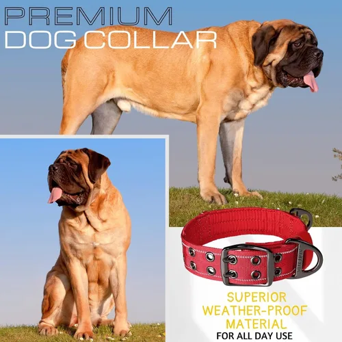 Miniatura 7 de ADITYNA - Collar para perros gigantes con asa - Collar ajustable XXL de 30 a 36 pulgadas - Diseñado exclusivamente para razas de perros enormes como