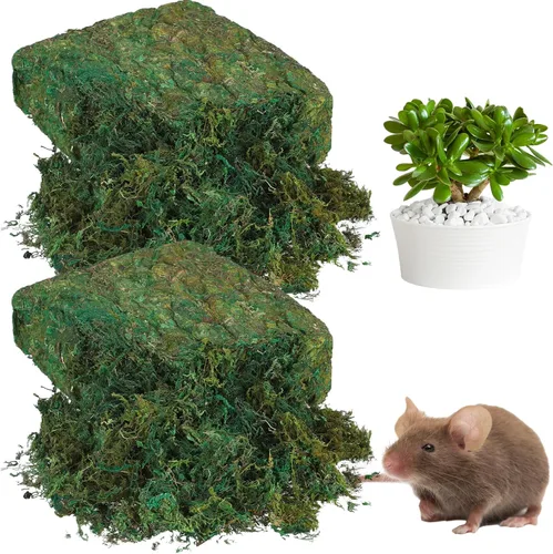 Zeyune Musgo artificial preservado falso de 56.4 onzas para manualidades al aire libre, plantas artificiales en maceta, decoración de bricolaje