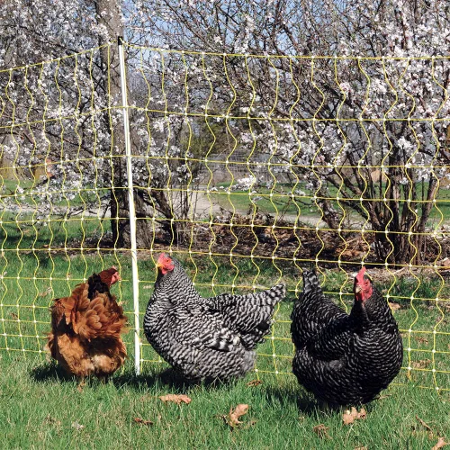Miniatura 5 de Premier 1 Red eléctrica portátil para pollo con postes incorporados, 48 pulgadas de alto x 82 pies de largo, valla amarilla para aves de corral