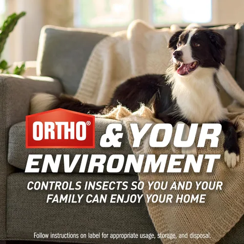 Miniatura 9 de Ortho Home Defense Max - Trampa para insectos voladores para interiores, trampa de luz para moscas domésticas, moscas de la fruta y mosquitos, 1