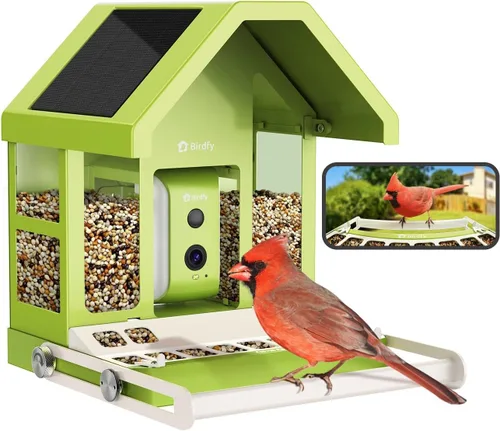 Birdfy Comedero inteligente para pájaros con cámara, alimentador de pájaros de metal duradero para exteriores, detección automática y grabación de