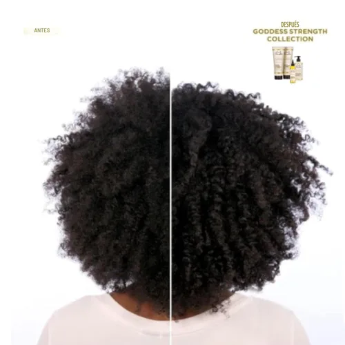 Miniatura 6 de Carol's Daughter Goddess Strength - Juego de 4 productos de tamaño completo para el cuidado del cabello, sin sulfatos, champú, acondicionador