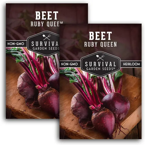 Miniatura 10 de Ruby Queen Semillas de remolacha para plantar, remolacha roja profunda para cultivo de jardín al aire libre, variedad reliquia de alto rendimiento