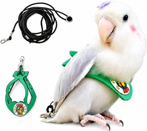 Juego de arnés ajustable y correa para pájaros pequeños, apto para periquitos, conures, cacatúas, mejillas verdes, loros cuáqueros (verde, XS) 6350-6