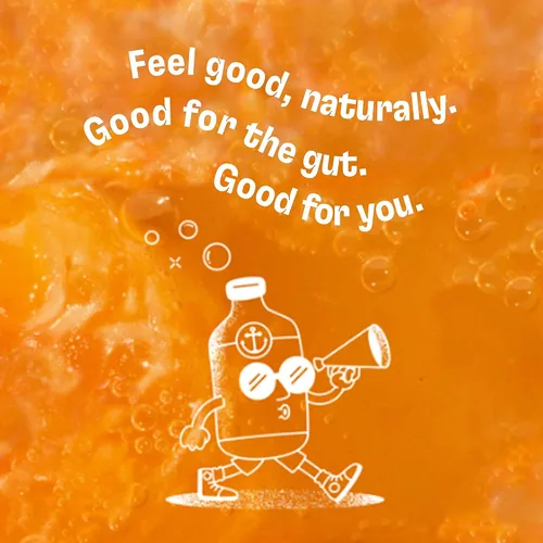 Miniatura 6 de Health-Ade Kombucha Tea - Bebida orgánica, té fermentado con probióticos vivos, ácidos desintoxicantes, apoya la salud intestinal, sin OMG, vegano