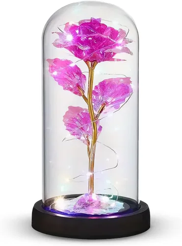 Miniatura 12 de Norcalway Rosa prémium en cúpula de cristal con temporizador de 6 horas, regalos de cumpleaños para mujeres, madres de hija, hijo, niños, rosa