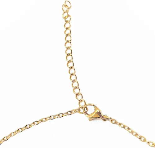 Miniatura 4 de Aoloshow Collar personalizado con nombre, placa de nombre - Joyería de acero inoxidable para regalo de cumpleaños o Navidad para mujeres, hombres